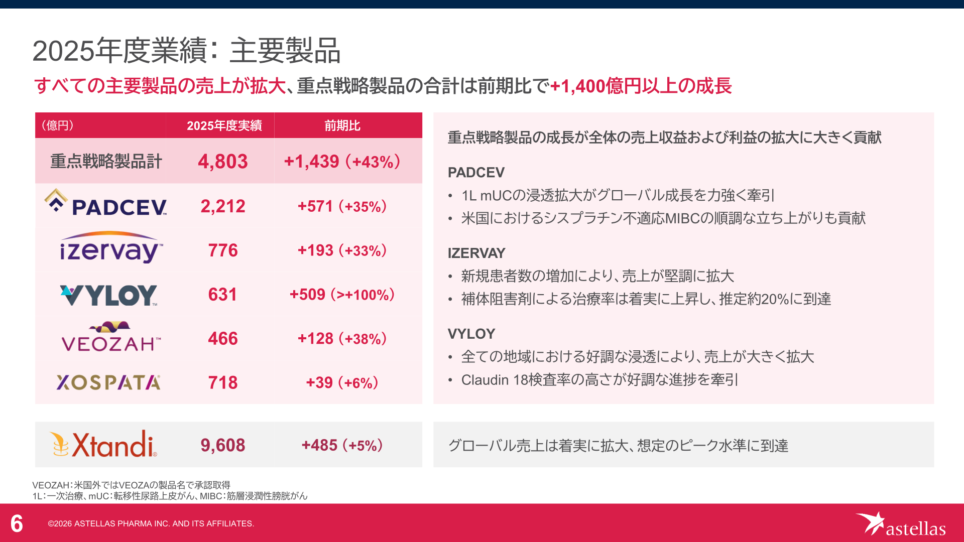 2025年度業績：主要製品別売上