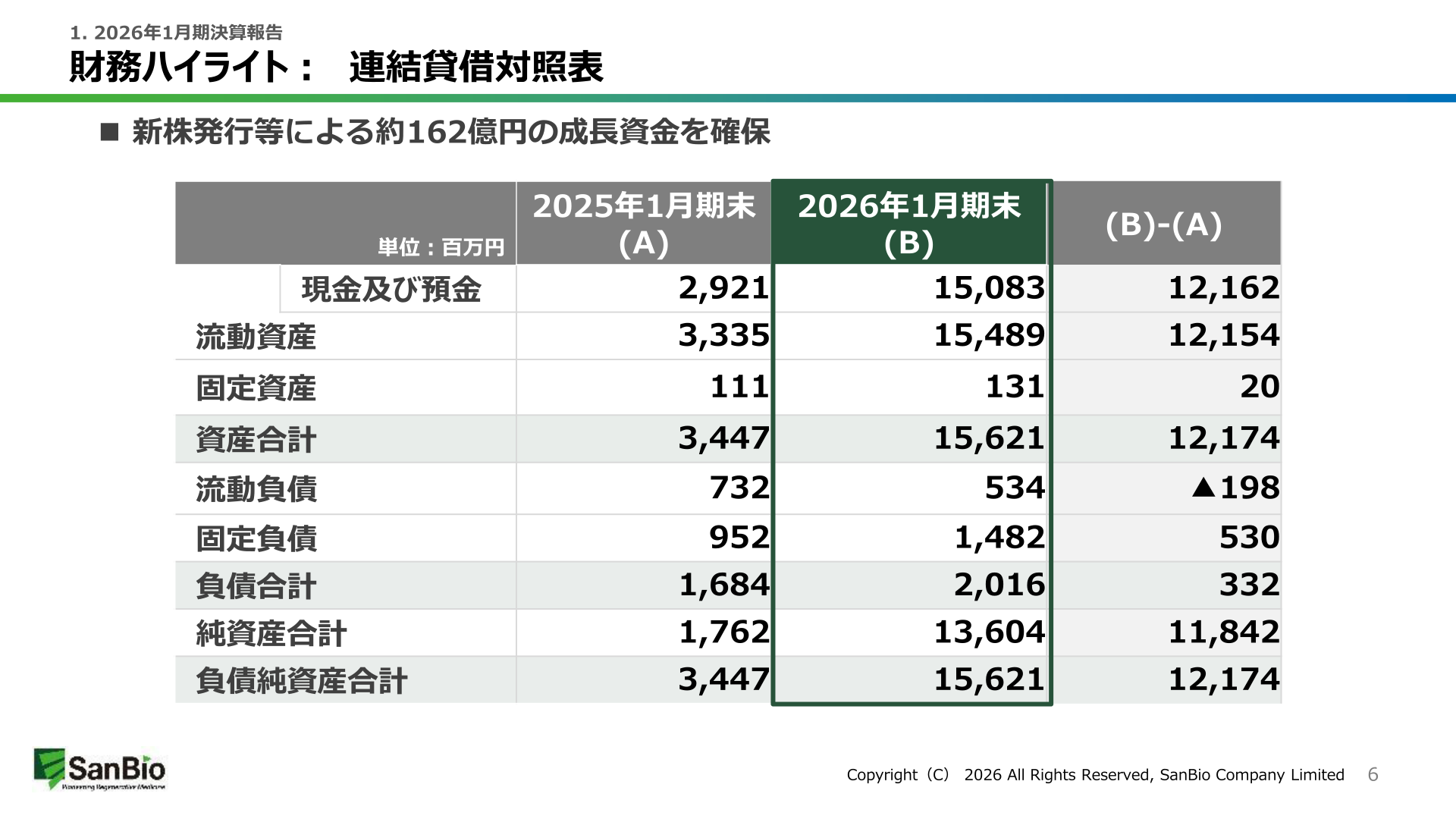 財務ハイライト:連結貸借対照表