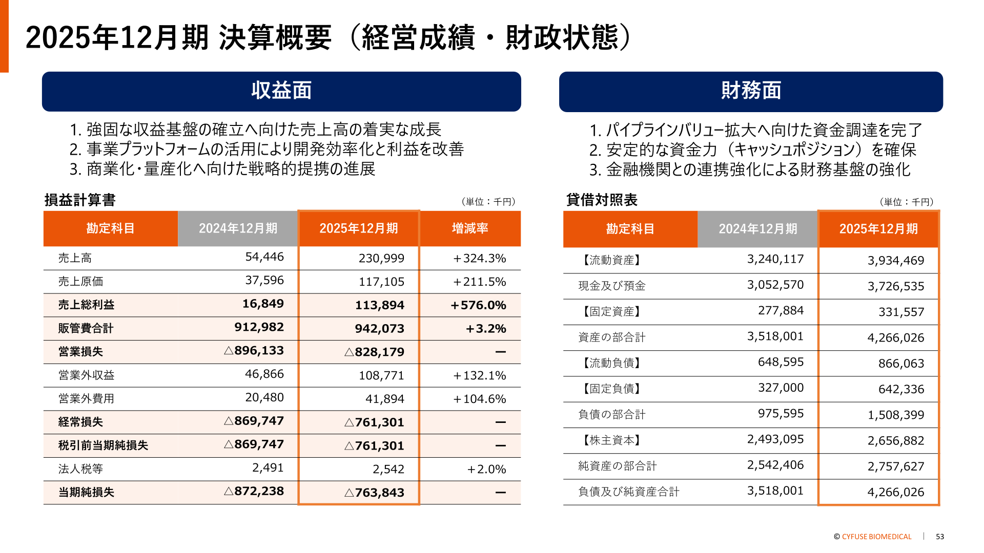 2025年12月期 損益計算書・貸借対照表サマリー