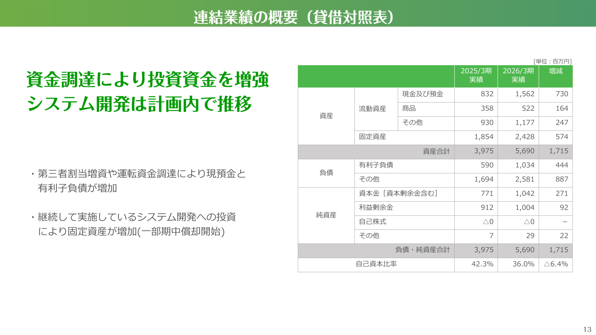 連結業績の概要（貸借対照表）