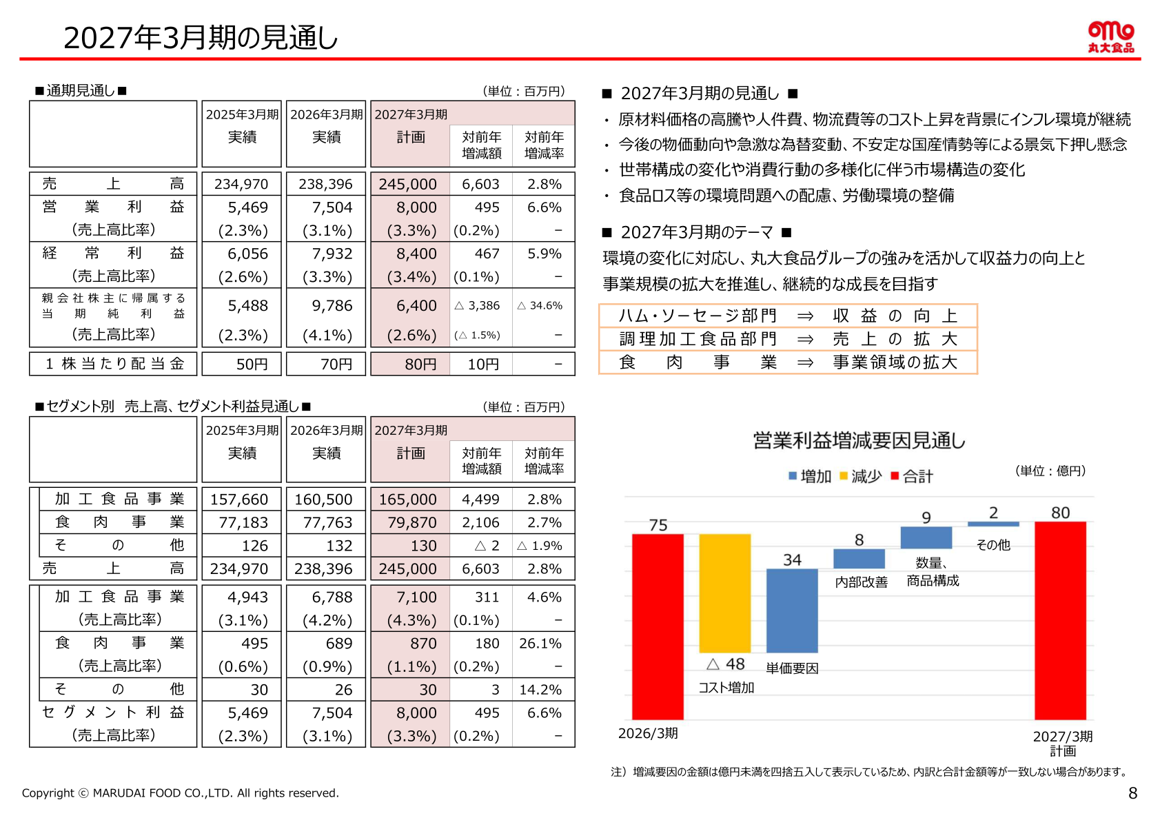 2027年3月期の見通し(通期見通しとセグメント別売上高・セグメント利益見通し)