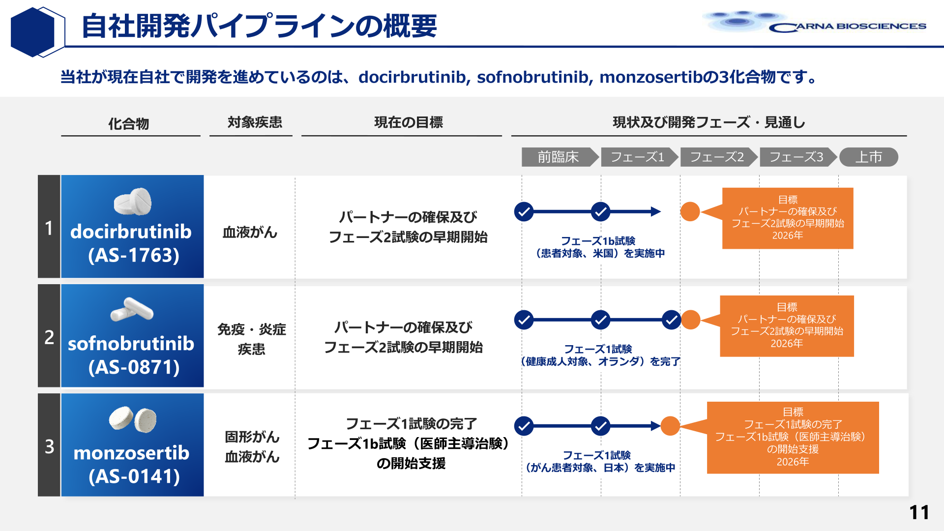 自社開発パイプラインの概要